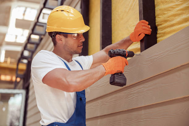 Best Custom Siding Design  in Altamont, TN